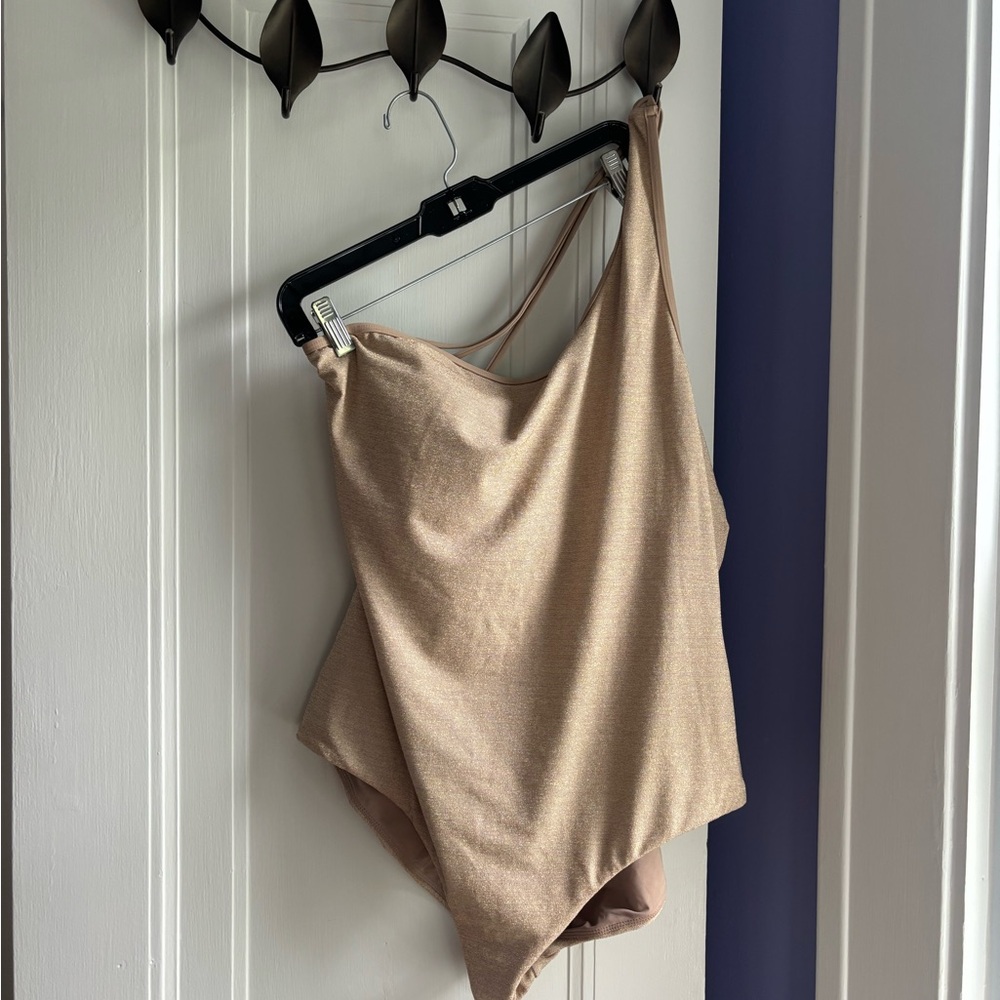 Jantzen Metallic One-Piece Swimsuit